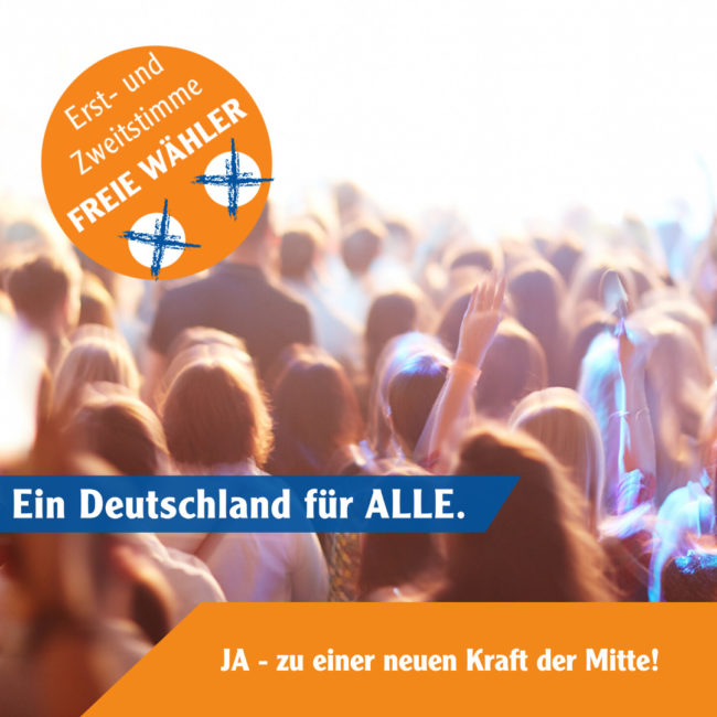 freie waehler in den bundestag