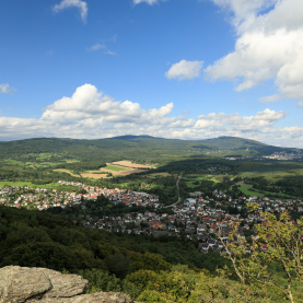 freie-waehler-glashuetten freie-waehler-glashuetten