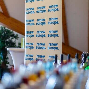 renew-europe-hessen-hochtaunuskreis