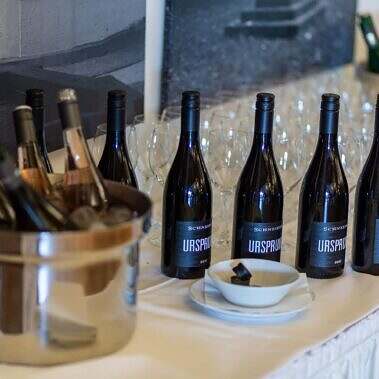 renew-europe-kronenhof-bad-homburg-freie-waehler