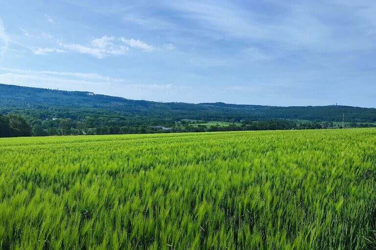 klimaschutz-hochtaunuskreis